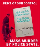 gun control = mass murder
