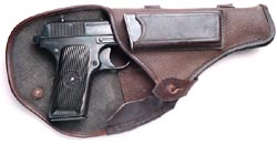 Standard flap holster
